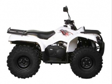 Фотография ATV 400 EFI
